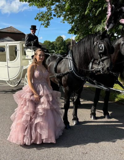 Horses to match the wedding dress